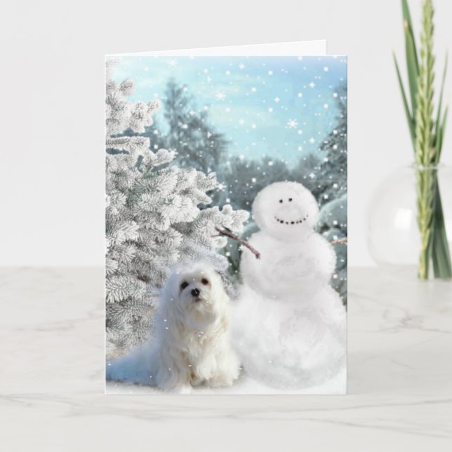 Snowdrop the Maltese Christmas Card (Front)