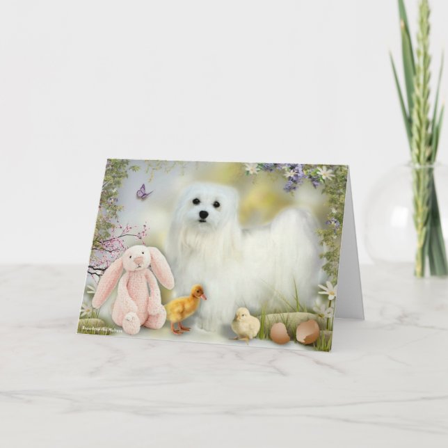 Snowdrop the Maltese Easter Greeting Card (Front)