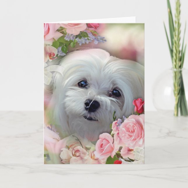 Snowdrop the Maltese Greeting Card (Front)