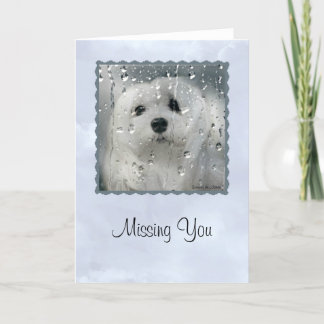 Snowdrop the Maltese Greeting Card (Missing You)