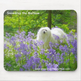 Snowdrop the Maltese Mouse Mat