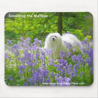 Snowdrop the Maltese Mouse Mat