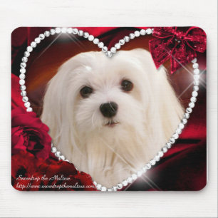 Snowdrop the Maltese Mouse Pad
