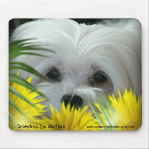 Snowdrop the Maltese Mouse Pad