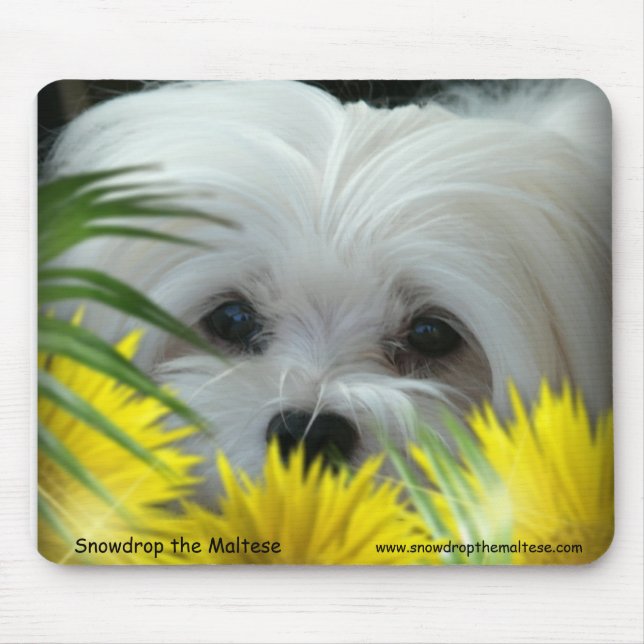 Snowdrop the Maltese Mouse Pad (Front)