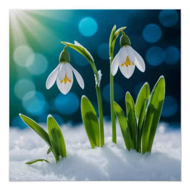 Snowdrops #1 Wall Art (Front)