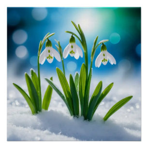Snowdrops #3 Wall Art
