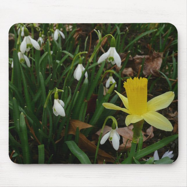 Snowdrops and Daffodil Spring Floral Mouse Mat (Front)