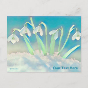 Snowdrops Blue Postcard