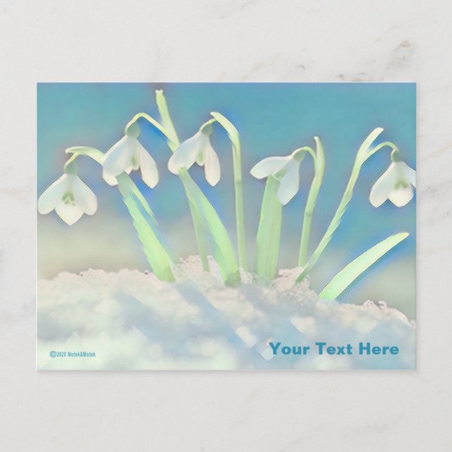Snowdrops Blue Postcard (Front)