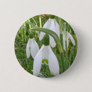 Snowdrops Button