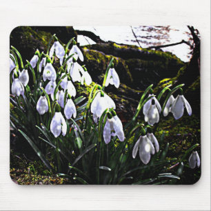 Snowdrops by River Hafren Mousemat