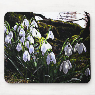 Snowdrops by River Hafren Mousemat