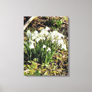 SNOWDROPS CANVAS PRINT