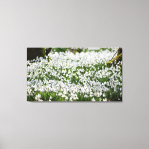 Snowdrops canvas print