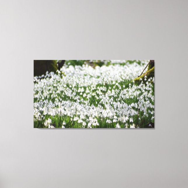 Snowdrops  canvas print (Front)