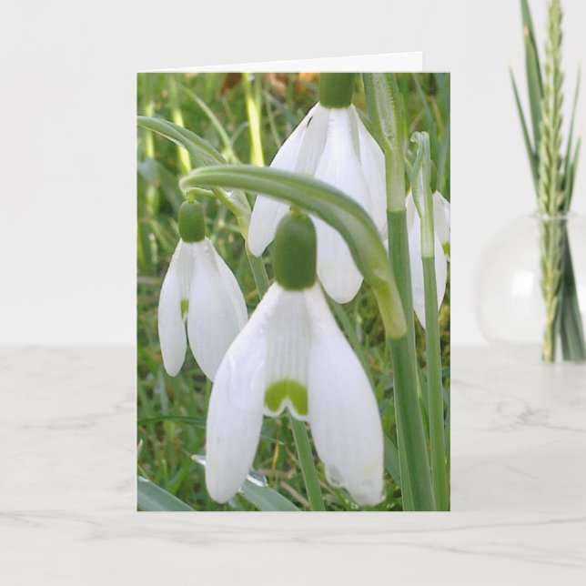 Snowdrops Card (Front)