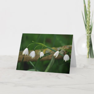 Snowdrops Card