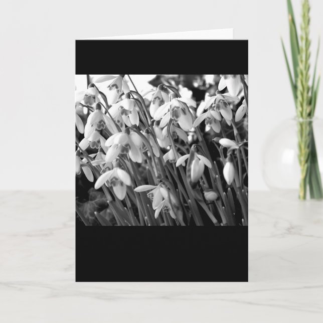 Snowdrops Card (Front)