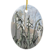 Snowdrops