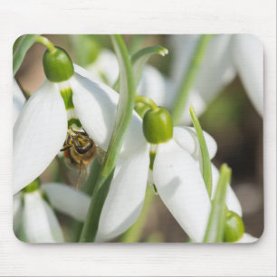 Snowdrops flowers mouse mat