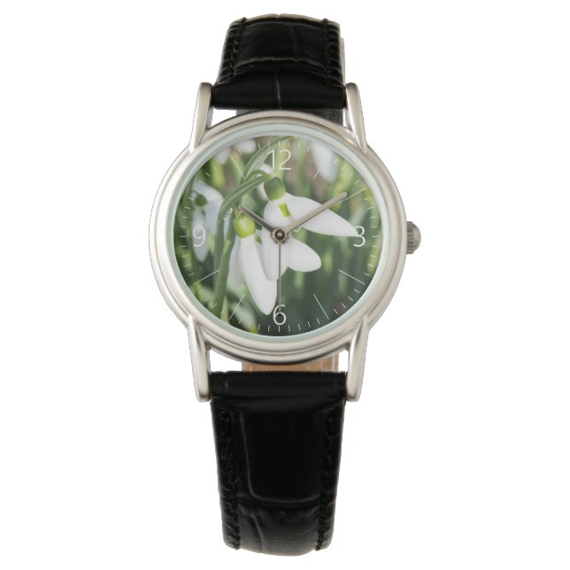 Snowdrops flowers watch (Front)