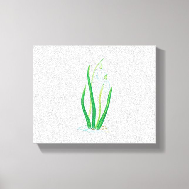 Snowdrops (Galanthus) Canvas Print (Front)