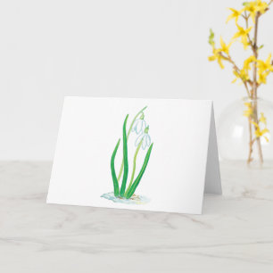 Snowdrops (Galanthus nivalis) Early Spring Flowers Card