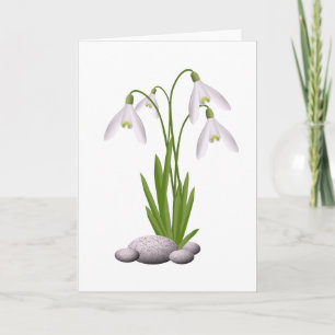 Snowdrops Greeting card