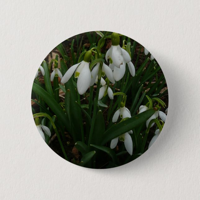 Snowdrops I (Galanthus) White Spring Flowers 6 Cm Round Badge (Front)