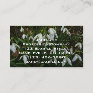 Snowdrops I (Galanthus) White Spring Flowers Business Card