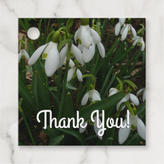 Snowdrops I (Galanthus) White Spring Flowers Favour Tags