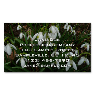 Snowdrops I (Galanthus) White Spring Flowers Magnetic Business Card