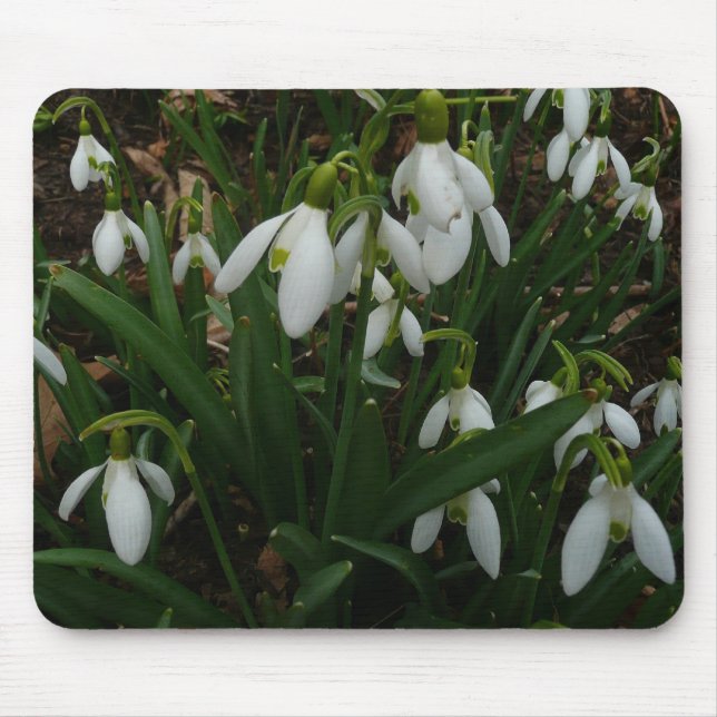 Snowdrops I (Galanthus) White Spring Flowers Mouse Mat (Front)