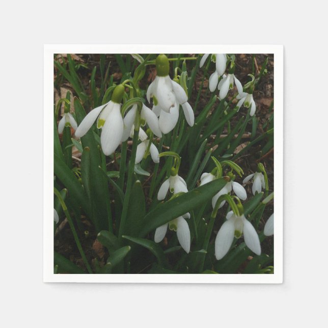 Snowdrops I (Galanthus) White Spring Flowers Napkin (Front)