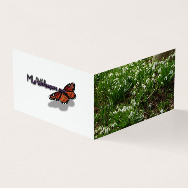 Snowdrops II (Galanthus) Spring Floral (Outside)