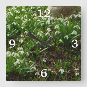 Snowdrops II (Galanthus) Spring Floral Square Wall Clock