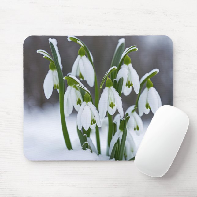 Snowdrops In Snow Mouse Mat (With Mouse)