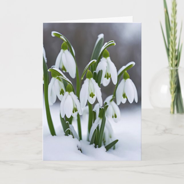 Snowdrops In Snow Thinking of You Card (Front)
