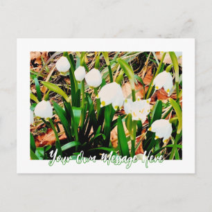Snowdrops in the French Alps - Personalizable Holiday Postcard
