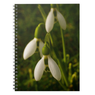 Snowdrops Notebook