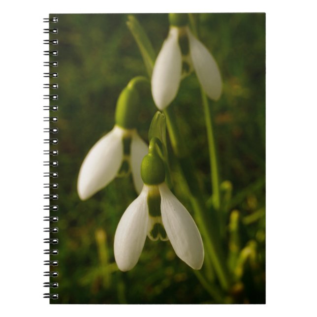 Snowdrops Notebook (Front)