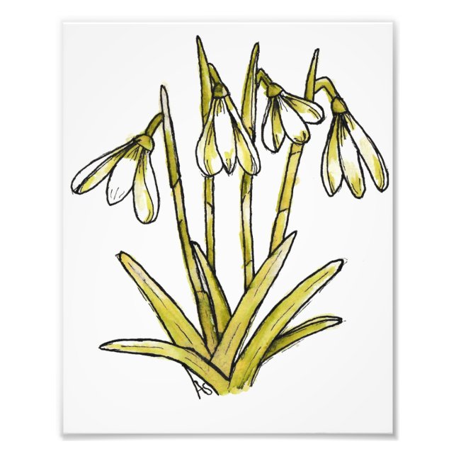 Snowdrops Photo Print (Front)