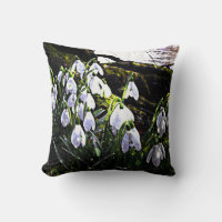 Snowdrops Photography Spring
