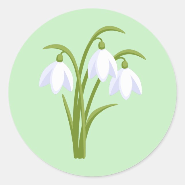 Snowdrops - Spring Flowers on Green Classic Round Sticker (Front)
