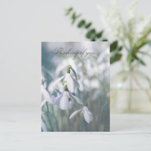 Snowdrops Thinking Of You Postcard