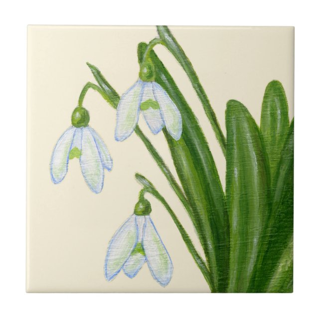 Snowdrops tile (Front)