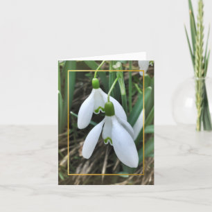 Snowdrops with gold border holiday card