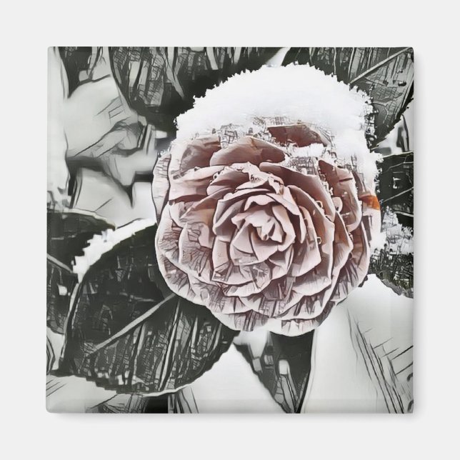 Snowed Frozen Rose Drawing  Magnet (Front)