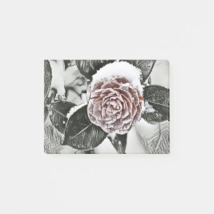 Snowed Frozen Rose Drawing Notes